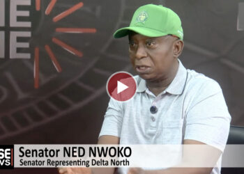 Delta APC Primaries Under Fire: Senator Nwoko Alleges Manipulation by State Government